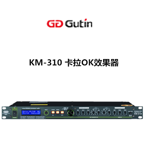 GUTIN KM-310 卡拉OK效果器