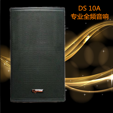 DS10A 专业号角前导向全频音箱