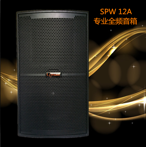 SPW12A 专业号角后导向全频音箱